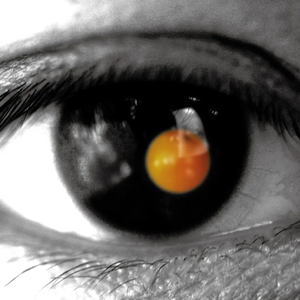 猎奇小屋app免费下载安装
